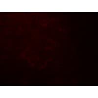 Polyclonal Rabbit anti-Human QSOX1 / QSCN6 Antibody (IHC, IF, WB)