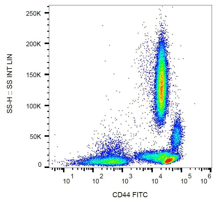 CD44 Antibody (clone MEM-85, FITC)