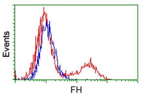 Monoclonal Mouse anti-Human FH / Fumarase / MCL Antibody (clone OTI1F10, IHC, IF, WB)