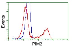PIM2 / Pim-2 Antibody (clone OTI5D5)