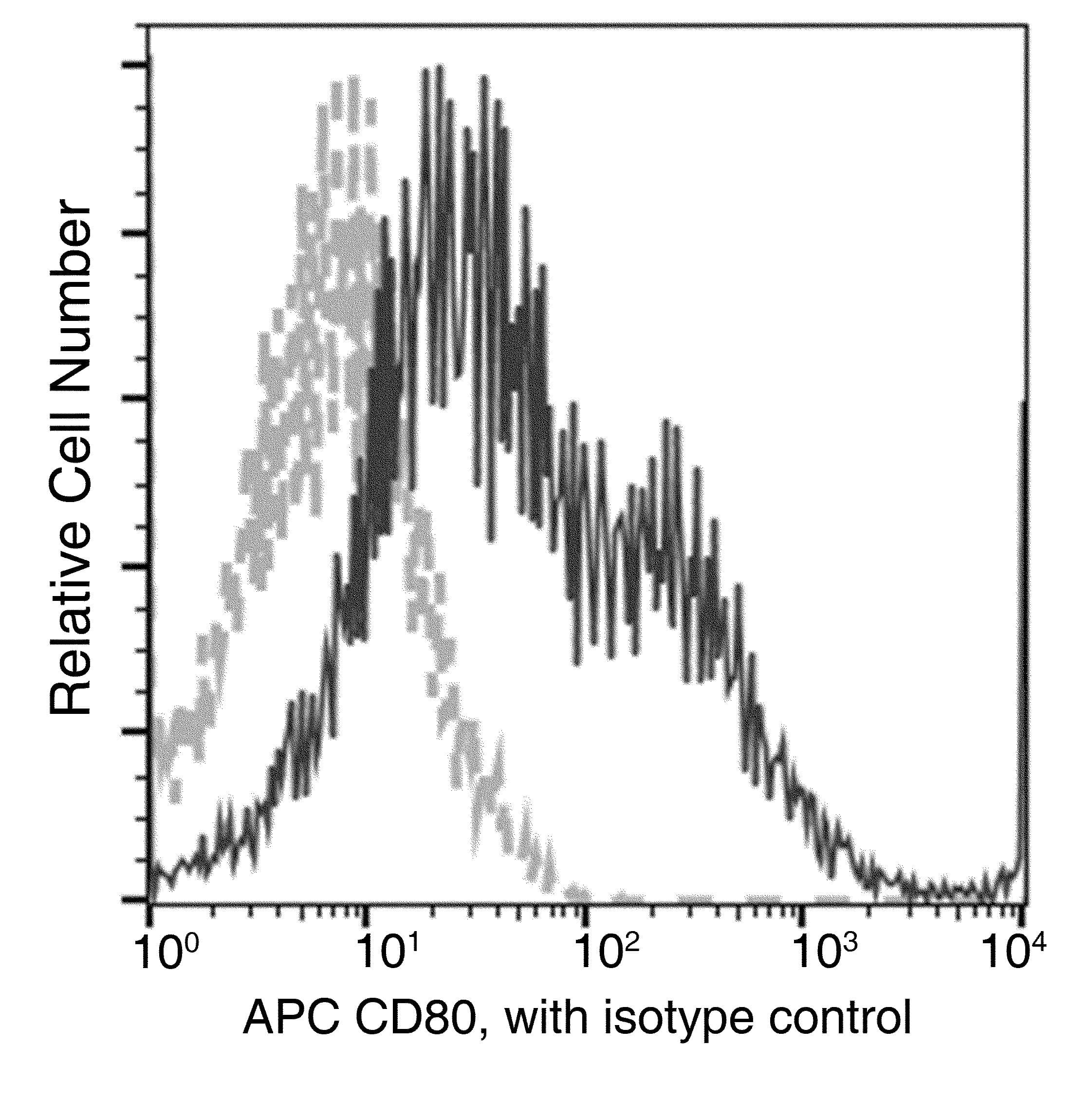CD80 Antibody (clone 014, APC)