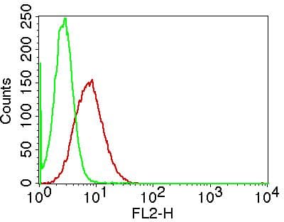 IL17A Antibody
