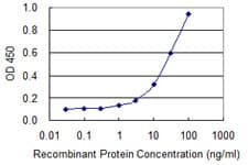 Monoclonal Mouse anti-Human TEX28 Antibody (clone 1A8, WB)