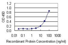 Monoclonal Mouse anti-Human KNG1 / Kininogen / Bradykinin Antibody (clone 4A1, WB)