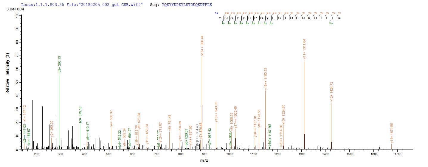 Clostridium botulinum botD Protein (Recombinant 6His-B2M, N-terminus)