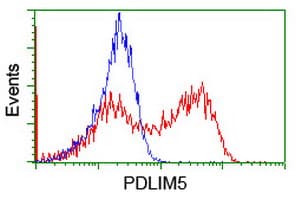 PDLIM5 / LIM Antibody (clone OTI1H10)