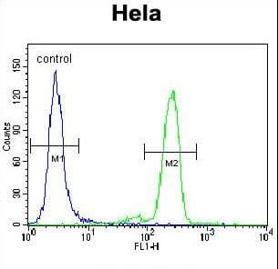 PML Antibody (aa470-499)