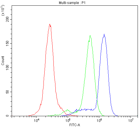 ITGAM / CD11b Antibody