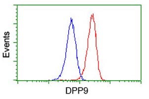 IHC-plus™ DPP9 Antibody (clone 1G9)