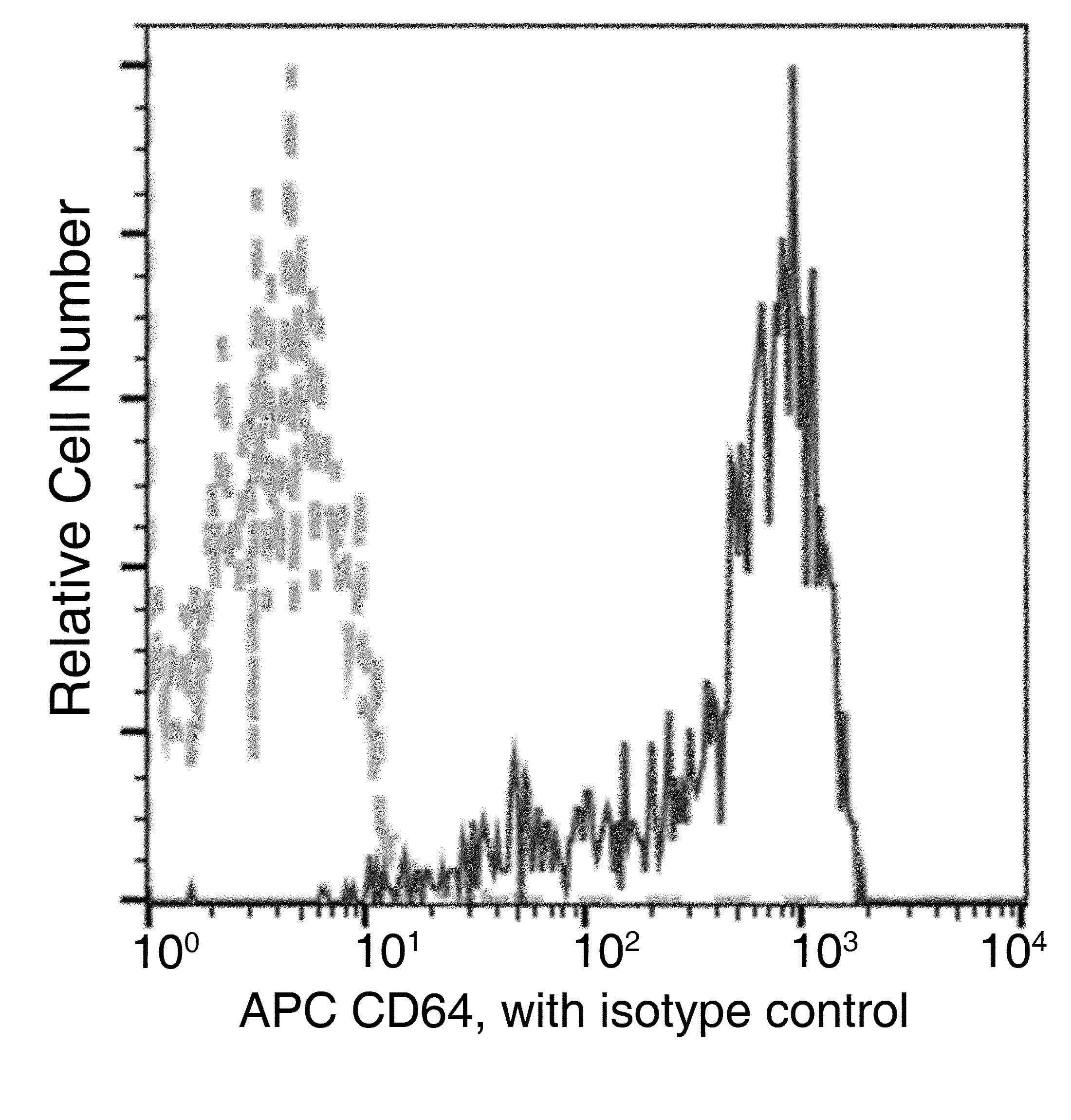 Monoclonal Rabbit anti-Human CD64 Antibody (clone 401, APC)