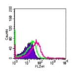 TLR4/MD-2 Complex Antibody (clone MTS510, PE)