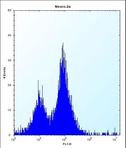 PEX14 Antibody (aa121-150)