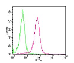 TNFRSF11A / RANK Antibody (aa326-616, clone 9A725, PE)