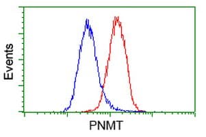 PNMT Antibody (clone OTI1F1, Carrier-free)