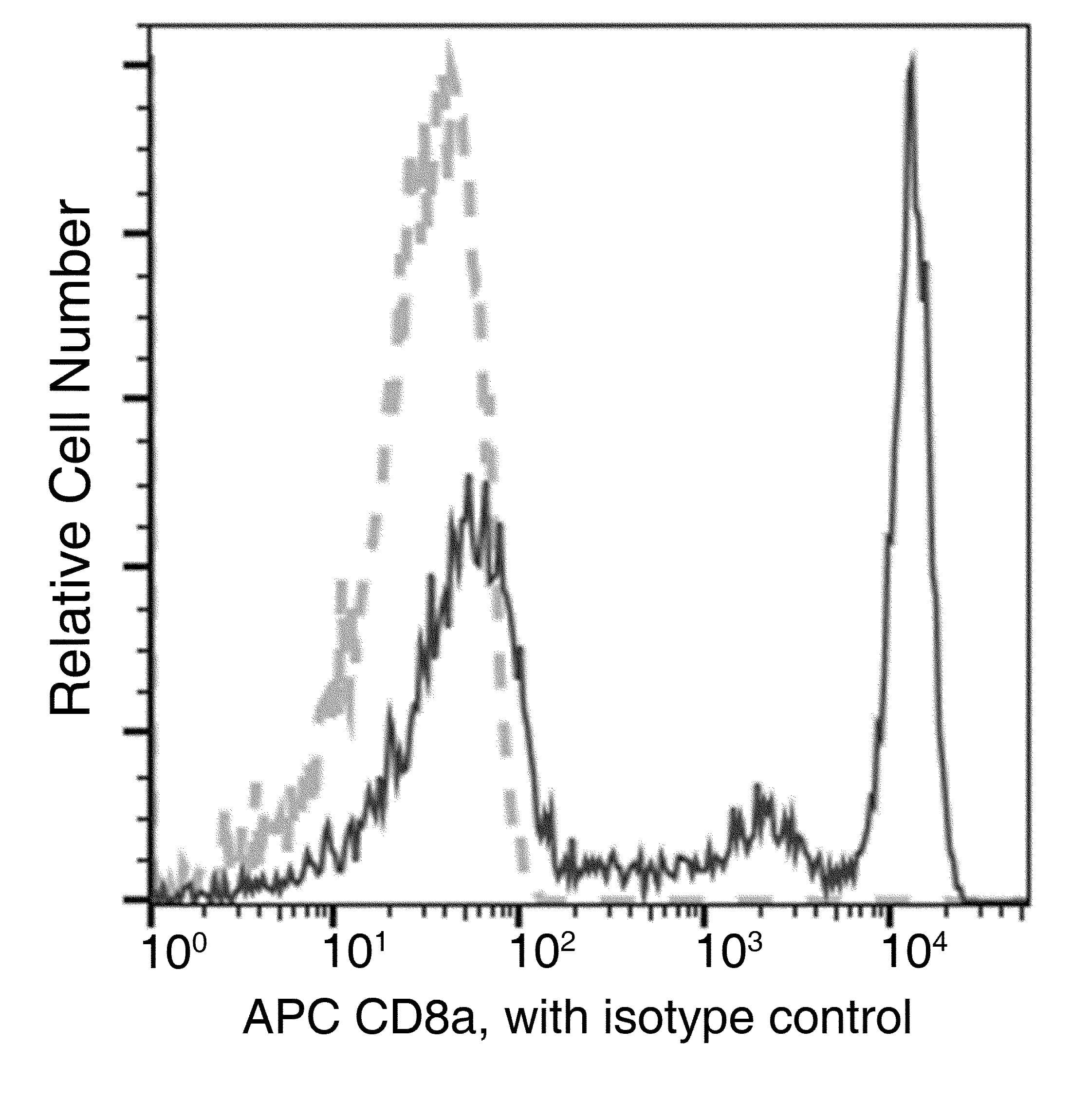 CD8A / CD8 Alpha Antibody (clone 48, APC)