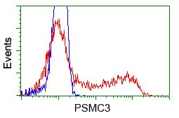 Monoclonal Mouse anti-Human PSMC3 Antibody (clone OTI8G10, Carrier-free, IF, WB)