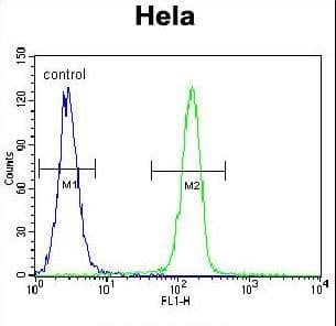 SELV Antibody (aa296-324)