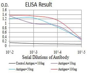 ATG3 Antibody (clone 2C10A12)