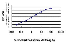 MAPK3 / ERK1 Antibody (clone 3C9)