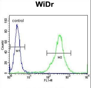 FAM3B Antibody (aa24-51)