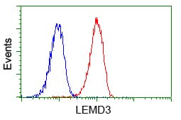LEMD3 / MAN1 Antibody (clone OTI6C10, Carrier-free)