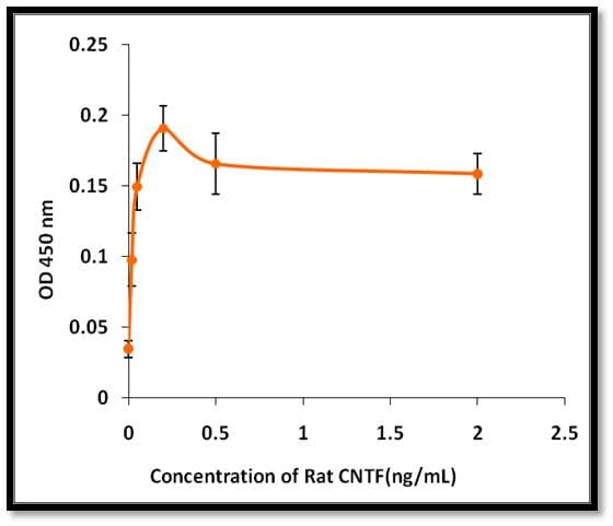 Rat CNTF Protein (Recombinant)