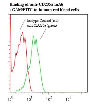 Monoclonal Mouse anti-Human GYPA / CD235a / Glycophorin A Antibody (clone A63-B/C2)