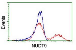 NUDT9 Antibody (clone OTI7A12)