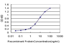 SP110 Antibody (clone 8C8)