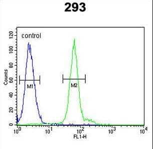 ATG14 Antibody (aa162-190)