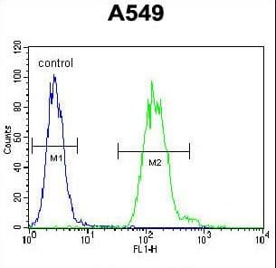 TDP2 / TTRAP Antibody (aa246-272)