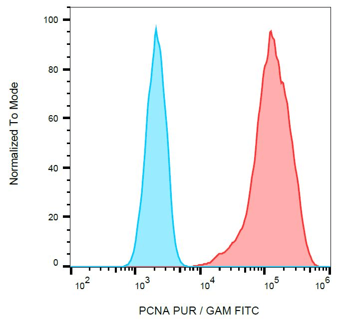 IHC-plus™ PCNA Antibody (clone PC10)