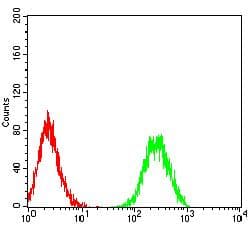 ADAM8 Antibody (clone 3B10D7)