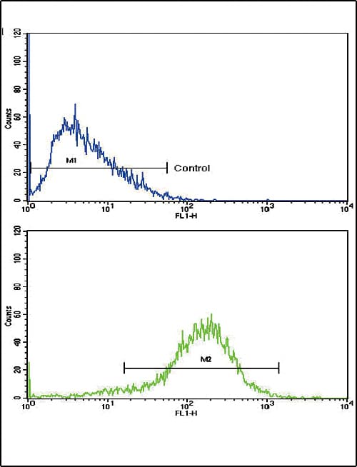 IFN Beta / Interferon Beta Antibody (aa39-66)