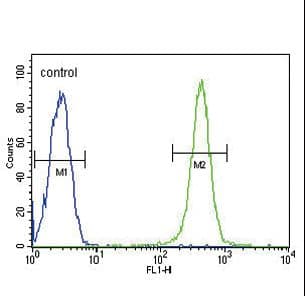 GPI Antibody (aa445-473)