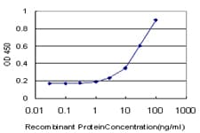 GLI3 Antibody (clone 2C9)