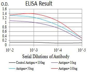 Monoclonal Mouse anti-Human CHRNA2 Antibody (clone 7G12H9, WB)