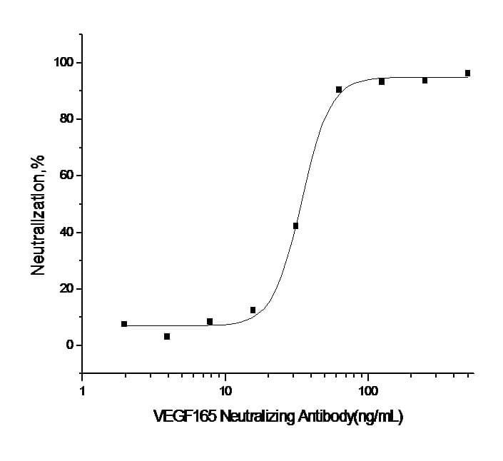 Monoclonal Rabbit anti-Human VEGFA / VEGF Antibody (clone R012, Preservative Free)