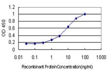 ZNF202 Antibody (clone 1E9)