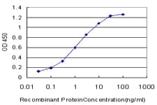 Monoclonal Mouse anti-Human OTX1 Antibody (clone 1F2, IF, WB)