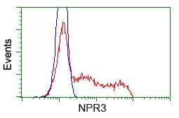 NPR3 Antibody (clone OTI2B12, Carrier-free)