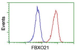 FBXO21 Antibody (clone OTI1E1)