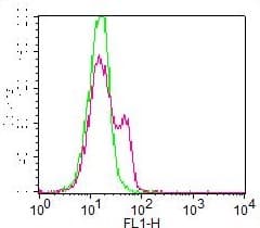 MBD1 Antibody (FITC)