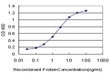 TFAP4 / AP-4 Antibody (clone 6B1)