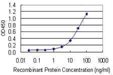 ITGB8 / Integrin Beta 8 Antibody (clone 2B4)