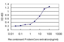 Monoclonal Mouse anti-Human RANBP3 Antibody (clone 2E10, IF, WB)