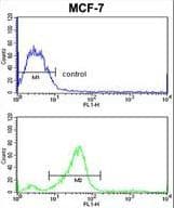 CHMP4B Antibody (aa51-79)