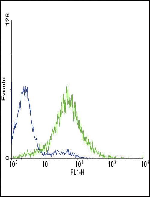 EDNRA / Endothelin A Receptor Antibody (aa125-154)