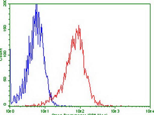 Monoclonal Mouse anti-Human GPR49 / LGR5 Antibody (clone UMAB212, aa22-543, IHC, IF, WB)