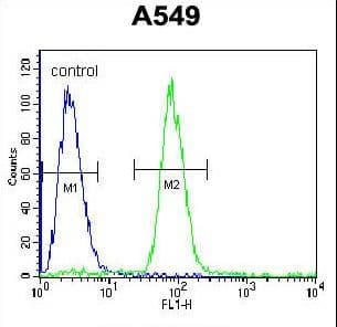 SOX3 Antibody (aa189-218)